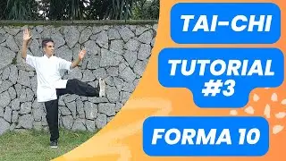 Aprende taichi de forma facil,  tutorial de la forma 10
