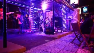 Geckos on the Wall at Dimples Bar and Grill, Nov. 8,  2014