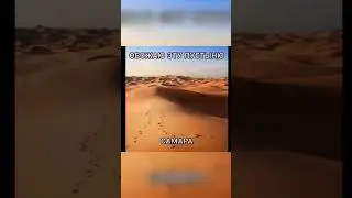 Обожаю