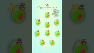 Hatch Safari Eggs For Shiny Pok&eacute;mon #shorts #eggs #hatch #rare #shiny #gotcha #lucky #event