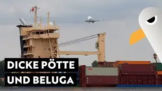 Dicke P&ouml;tte und Belugas ✈️ Shipspotting am R&uuml;schpark