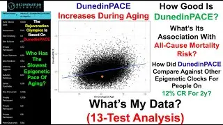 Attempting To Slow The Epigenetic Pace Of Aging (13-Test Analysis)