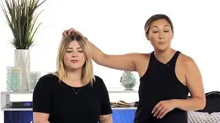 Hairlocs Clip-N-Go Extensions