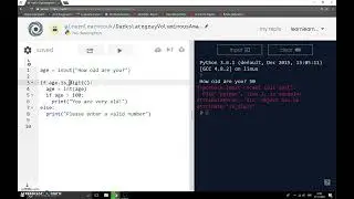 Python Beginner's Course Lesson 4 - Part 1