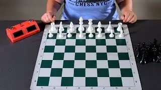 How to Set Up the Board | Chess