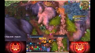 40 Druids Premade Ashran : Hydra Domination