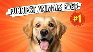 Top 10 Funniest Animal Moments Caught on Camera