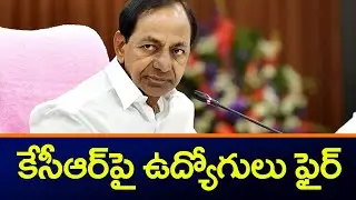 Telangana Govt Employees Fires on CM KCR | TRS | Salaries Delay | ZEE Telugu News