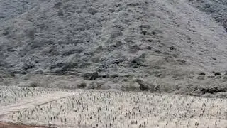 REGISTRADA CA&Iacute;DA DE HIELO EN LA CA&Ntilde;ADA