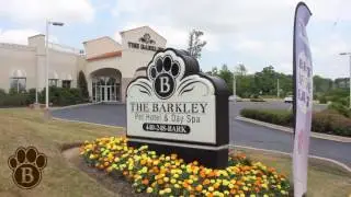 Assisted Living for Pets? The Barkley Pet Hotel & Day Spa - Cleveland, Ohio