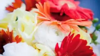 Bulk Flowers Online