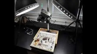 Визуализация целых ящиков с насекомыми с помощью GigaPan &mdash; Учебное пособие