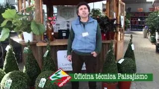 Oficina t&eacute;cnica paisajismo - Agrojard&iacute;n Estepona