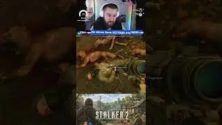 Жесть как испугался / Спасибо за донат #stalker2 #сталкер2 #infernalстрим #игры #страшно