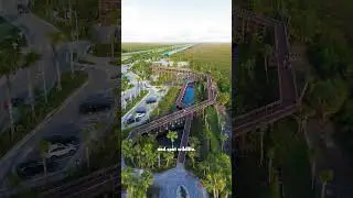 Everglades Elevated Boardwalk in Weston, Florida