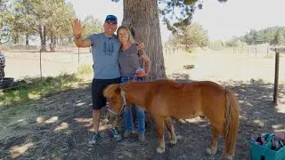 Vinny Visits Jen's Equine at Running Y Resort, Klamath Falls, Oregon
