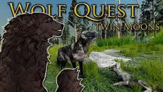 A Sickly THORN in Parsley's Heart!! 🐺 WOLF QUEST: TWIN MOONS • #58