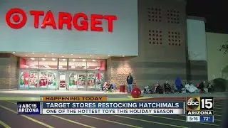 Hatchimal customers line up outside Target