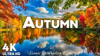 Enchanting Autumn Forest 🍁 Beautiful Fall Colors & Relaxing Piano Music 4K UHD #2