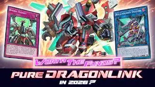 DRAGONLINK - BORRELSHROUD DRAGON - WTF ⁉️  [Yu-Gi-Oh! Master Duel]​