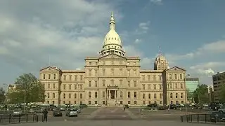 Where do gun law reforms stand in Michigan?
