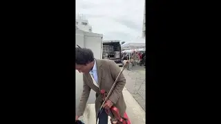 Violin Music Live in LA 🌴🎻| Alan Price