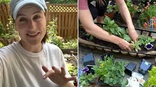 Planting A Veggie Garden Themed Window Box | Container Gardening | Small Gardens