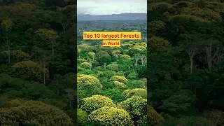 Top 10 largest forests in World || विश्व के 10 सबसे बड़े जंगल ||
