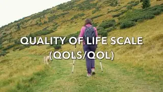 The Quality of Life Scale (QOLS)