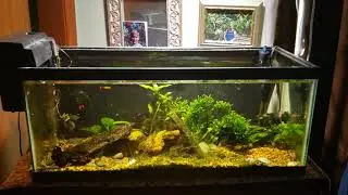 The Biggest Hazard In Keeping Open Top Tanks