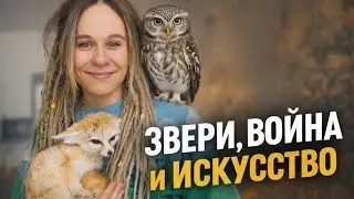 Как выживает пустынная лиса в Киеве, в -20, во время блекаутов. Наш обычный день 