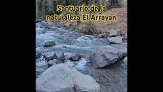 Santuario de la Naturaleza El Arrayan - Chile #shorts