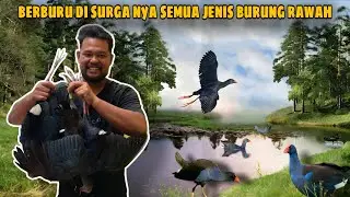 BANG IPIK KASI PAHAM TEAM EXBEN‼️BERBURU BURUNG MANDAR BIRU‼️SAMPAI MASUK & MENYEBRANGI RAWA
