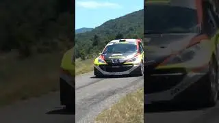 Best-Of Peugeot 207S2000 #car #race #motorsport #racing #sound #rally #flat #drift #rallye #cars