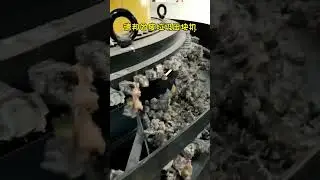 #debonsolidwastebriquette#RDFbriquettemachine#biomassbriquettemachine debon briqutte making machine