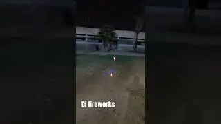 #song #fireworks #fireworkdisplay #dj #short