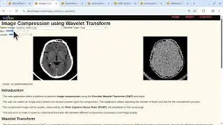 Interactive Biomedical Data Science: EEG, MRI Wavelets & AI Tools on BioniChaos