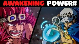 Awakening Power Of Kid And Law, Explained!!(One Piece)