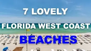 7 Lovely Florida West Coast Beaches (Top Beaches in Florida)    | Iconic Destinations