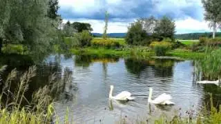 My Town Sandefjord
