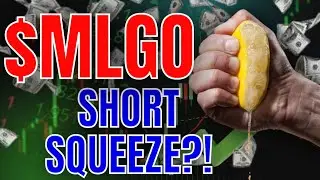 MLGO STOCK: +1247% INCOMING?! ($MLGO) 
