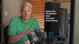 Rode VideoMic Pro против Panasonic DMW MS2