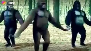 हंसी रोक नहीं पाओगे,,, vigo india ,,laughing videos