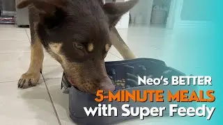 Neo&rsquo;s Better 5-Minute Meals!