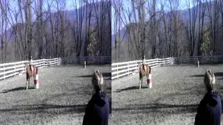Clover Leaf Barrel Dash