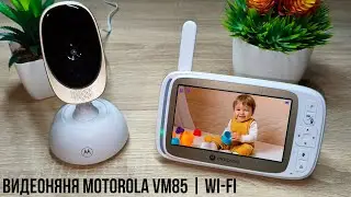 Видеоняня Motorola VM85 | Wi-fi: видно, слышно, всё под контролем