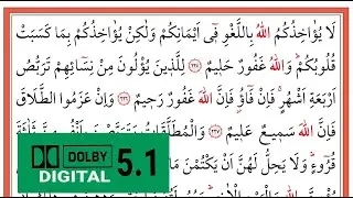 01590 Bakara S&ucirc;resi 225 - 230. Ayetler - B&uuml;nyamin Top&ccedil;uoğlu - بونيامين توبكوغلو - (Yavaş Okuma)