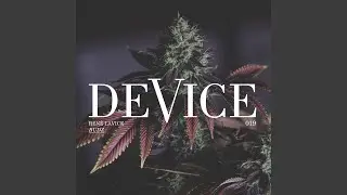 Budz