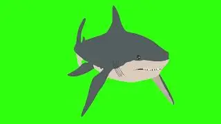 Shark Animation #greenscreenanimation #fxgreenscreen