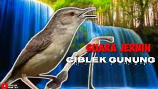 CIBLEK GUNUNG NGEBREN PANJANG